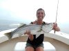 Merrimack River striper caught by Sara Brown